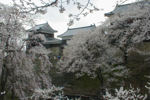 Ueda Castle in Spring, 2007