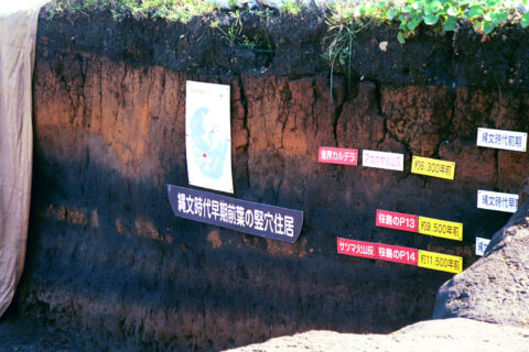Jomon Site Stratigraphy. Uenohara Jomon Village, Kagoshima, Japan A cut through the soil demonstrates the stratigraphy of the Uenohara site, as labels identify the dating and other characteristics of each layer.