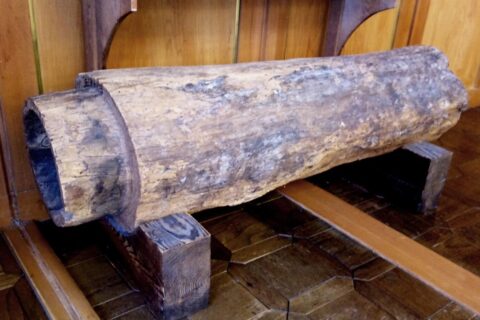 ​宇奈月温泉の赤松製旧引湯管 長さ約１m20cm