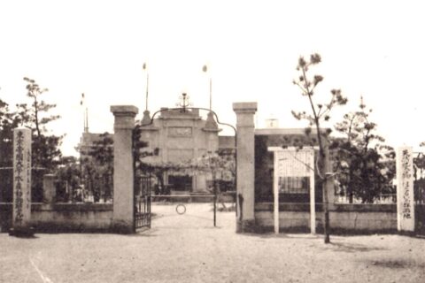 Uozu Aquarium — photo 3