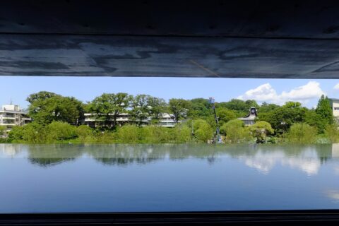 秋田県立美術館 平野政吉コレクションからの眺め。左から和洋女子高等学校、秋田県民会館、クレーンを挟んで平野政吉美術館、国学館高等学校。
