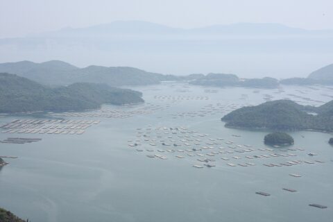 Hinase islands — photo 3