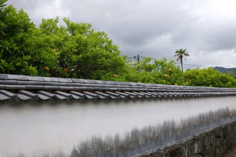 Hagi Castle Town — photo 6