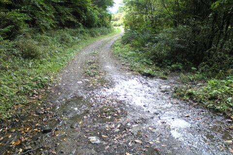 The Yamanashi Prefectural Road Route 113 in Kofu City