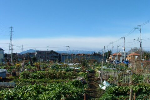 Vegetable plots near Midori-ga-oka neighborhood