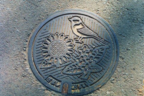 Manhole cover depicting symbols of Zama