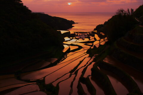 浜野浦棚田