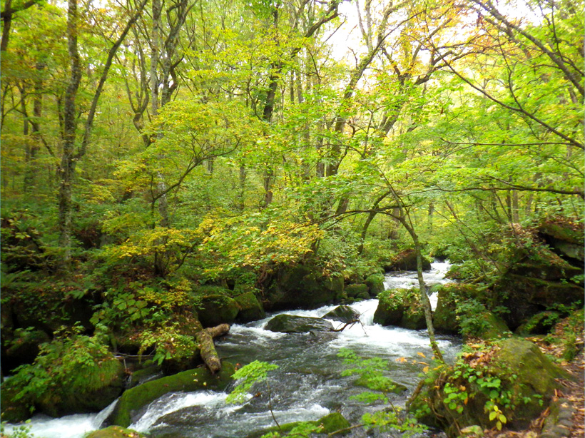 Oirase Gorge
