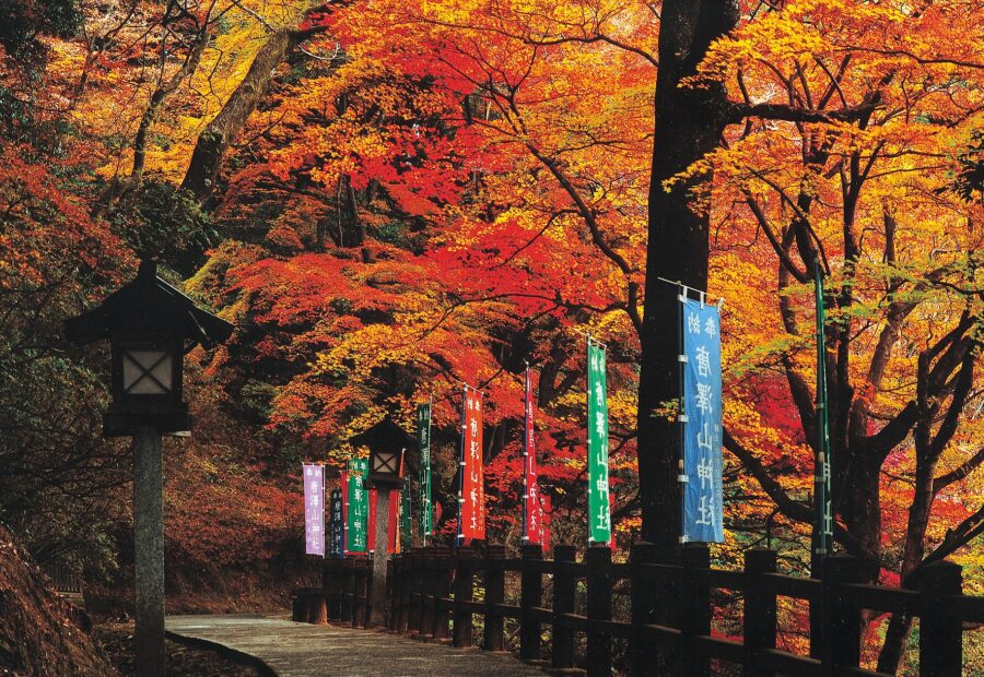 Karasawa Castle, Tochigi