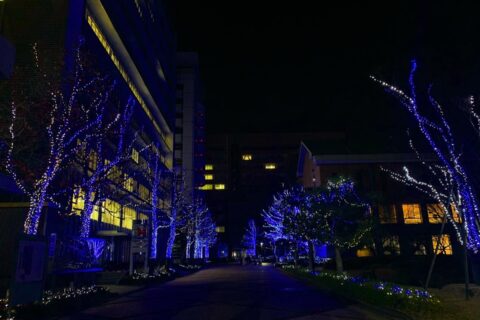 徳島文理大学の文理ナリエ