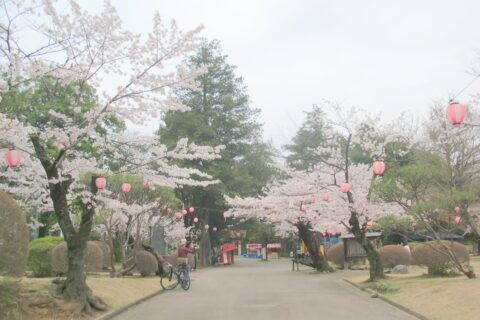 [栃木県] 小山城の城山公園。川沿いにあり、展望もよい。