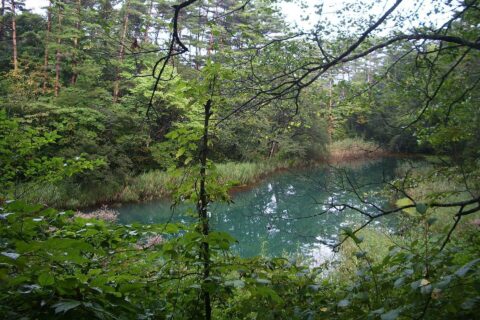 Goshiki-numa Ponds — photo 6
