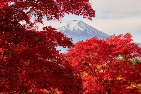 富士山——照片 5