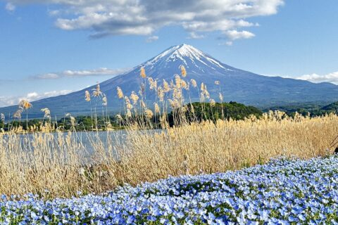 富士山——照片 3
