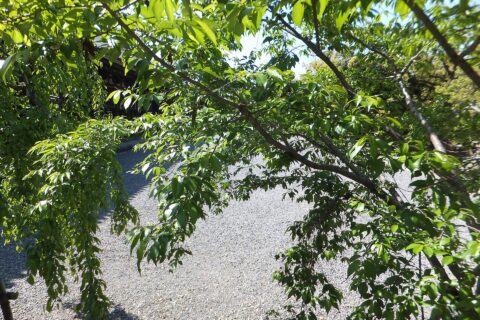 산주산겐도 — 사진 6